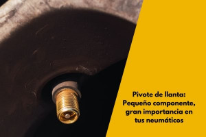 Pivote de llanta: Pequeño componente, gran importancia en tus neumáticos