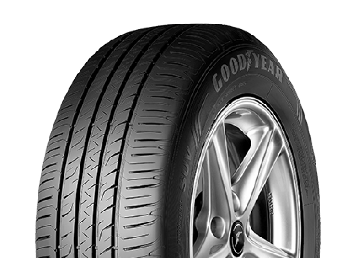 MX GOYE  205/50 R 17  EFFICIENTGRIP PERFORM 2