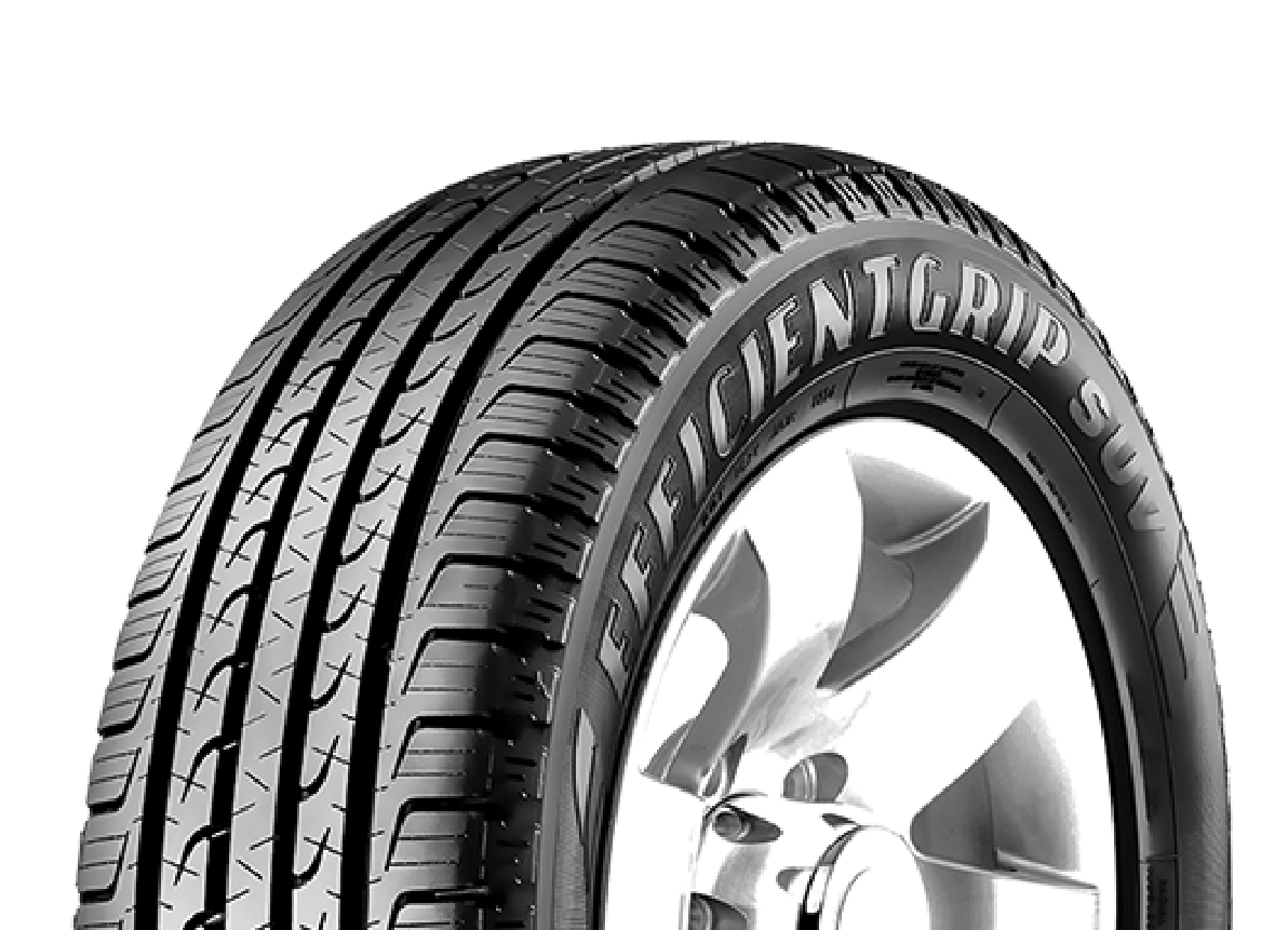 MX GOYE  225/60 R 18  EFFICIENTGRIP SUV 100V